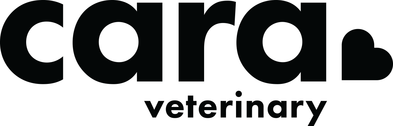 Phinney Veterinary gallery